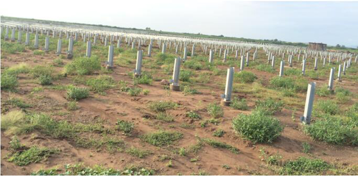 A fazenda solar de médio a grande porte mais preferida